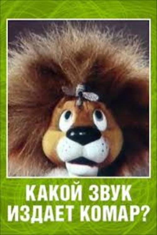 Постер Какой звук издаёт комар